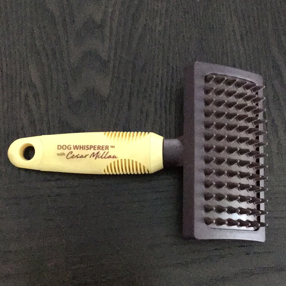 Cesar Milan Soft Rubber Massage Brush for Cat/ Dog